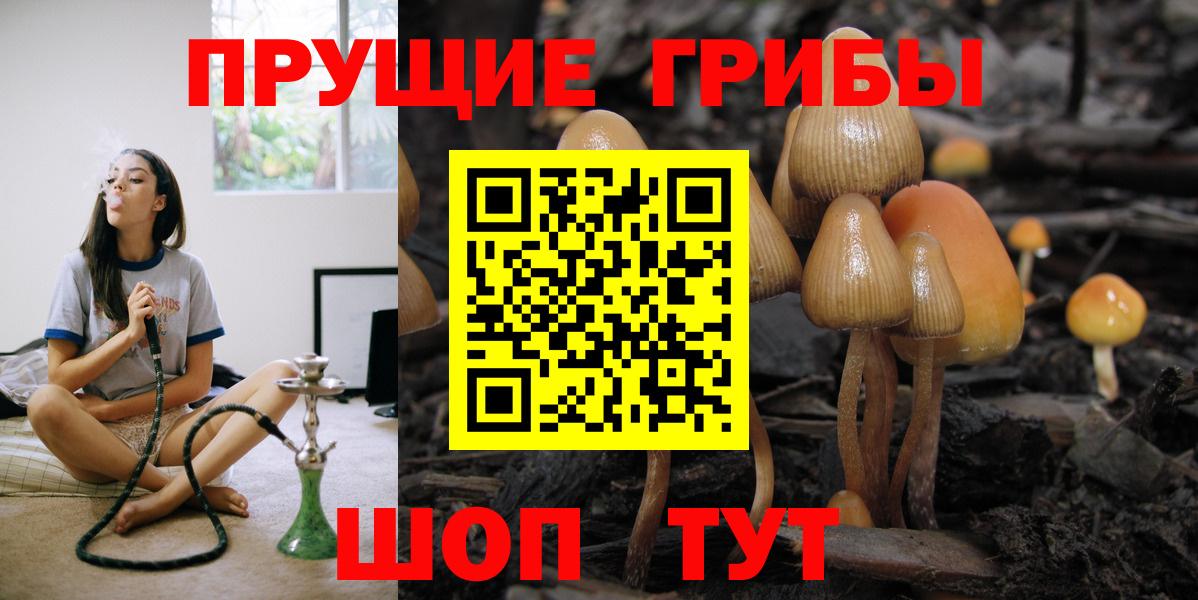 Галлюциногенные грибы прущие грибы  Вход с VPN  Моздок 